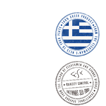 shield-quality-control